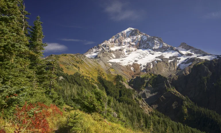 different shades of greens in brush and conifer trees fill the bottom of the frame and get more sparse to reveal a rocky mountain top with a little snow cover